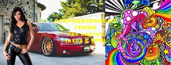 герыч Алексин