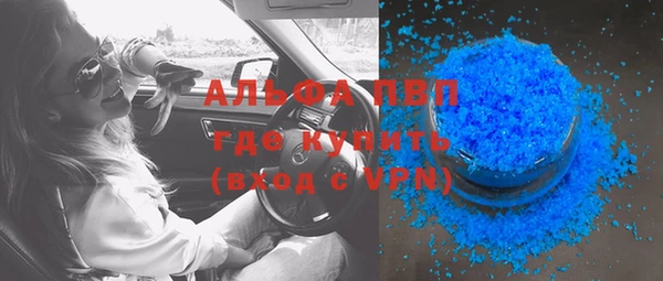 шишки Аркадак