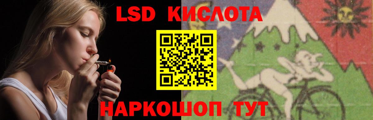 Новозыбков  ЛСД экстази кислота  LSD-25 экстази  Вход с VPN  ЛСД экстази кислота 