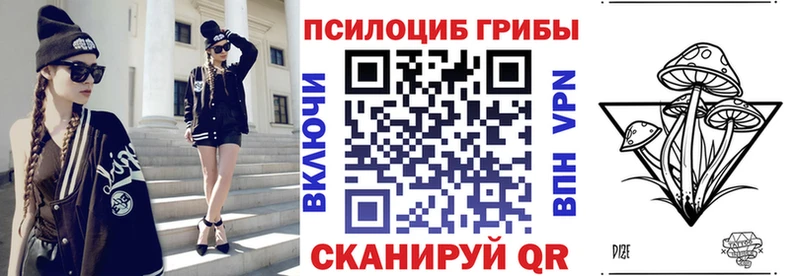 купить  сайты  кракен зеркало  Галлюциногенные грибы Magic Shrooms  Новозыбков 
