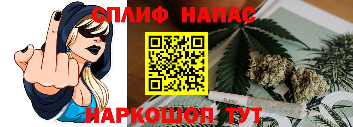 Бошки марихуана White Widow  Канабис планчик  Новозыбков  Шишки марихуана White Widow  Канабис Bruce Banner  Вход с VPN 